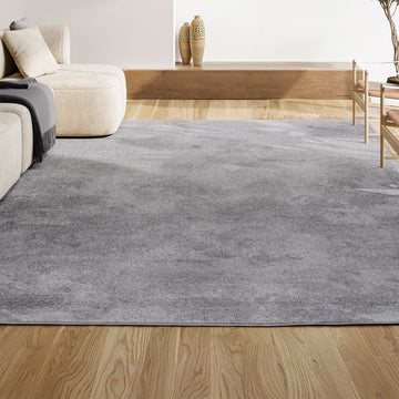 Haze Solid Low-pile Area Rug Light Gray
